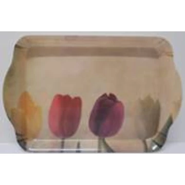 Tálca uzsonnás 21x14,3x2 cm, műanyag, tulipános