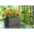 Kép 3/5 - Lamela Begonia Rattan balkonláda/virágláda 19 x 56 x 18 cm fekete/czarny