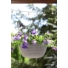 Kép 3/4 - Lamela 789 függeszthető virágtartó/cserép/kaspó 30 cm.  JERSEY vegyes színben, belső cseréppel , krém/kremowy
